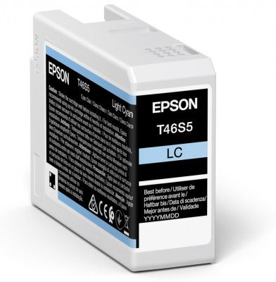 Epson Original T46S5 Light Cyan Inkjet Cartridge C13T46S500