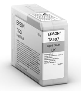 Epson Original T8507 Light Black Inkjet Cartridge (C13T850700)