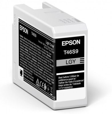 Epson Original T46S9 Light Grey Inkjet Cartridge C13T46S900