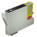 Epson Compatible T0541 Photo Black Cartridge
